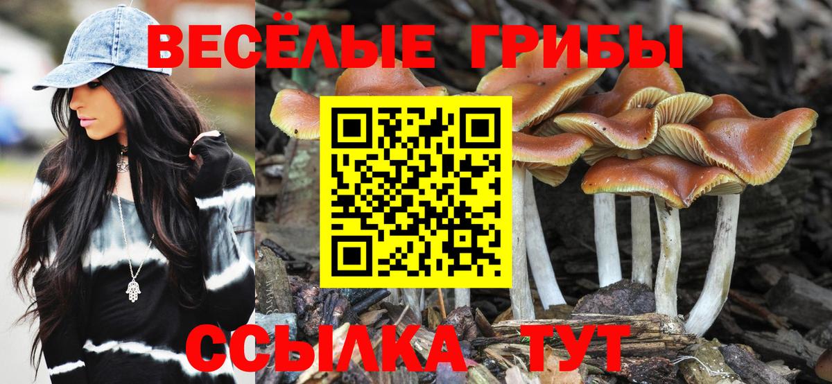 Галлюциногенные грибы Magic Shrooms  как найти наркотики  Галлюциногенные грибы мухоморы  Заволжье 