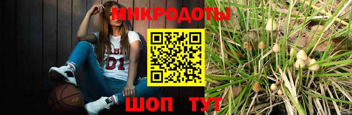Галлюциногенные грибы GOLDEN TEACHER Заволжье